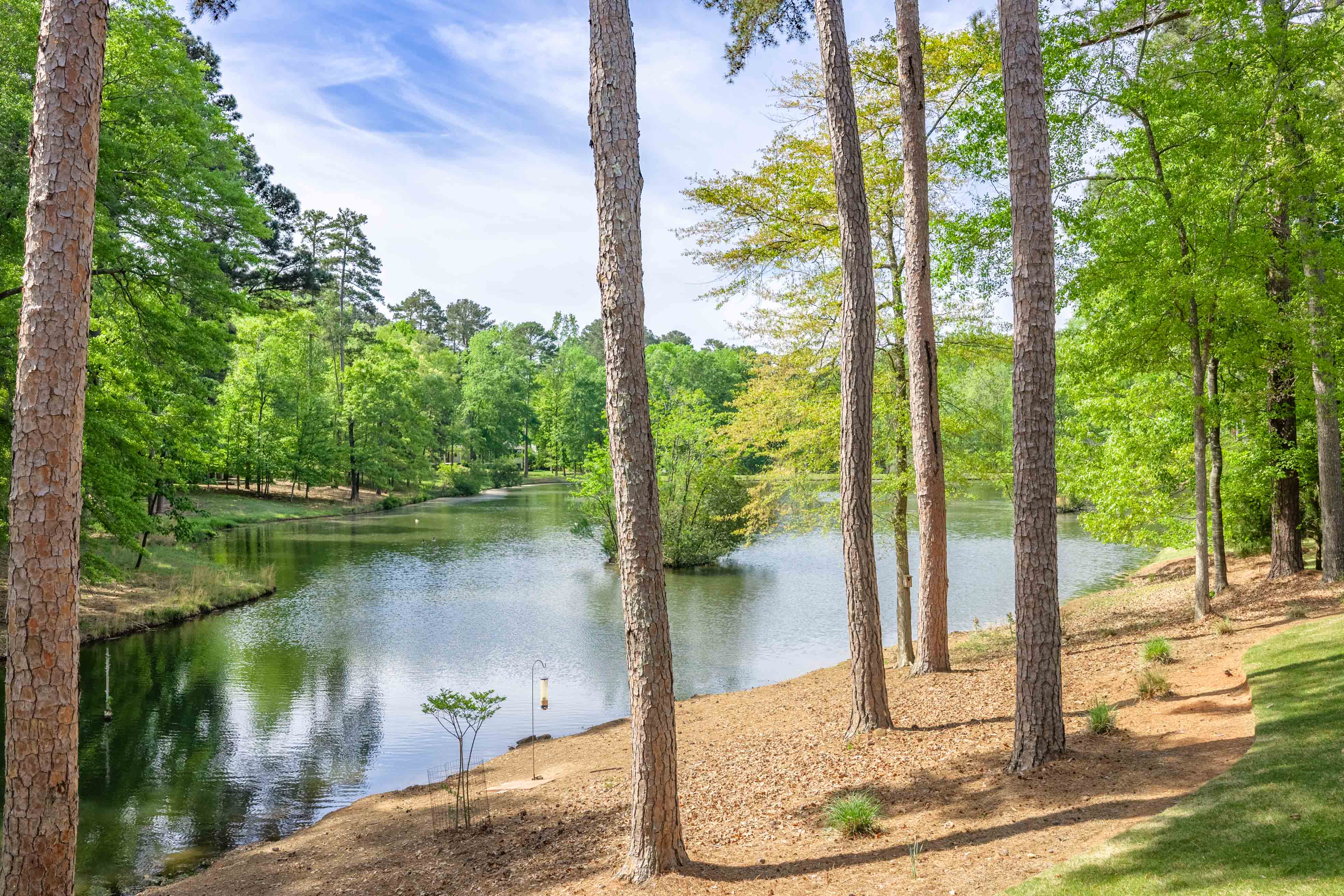 1071 Yazoo Fishery Road image 52